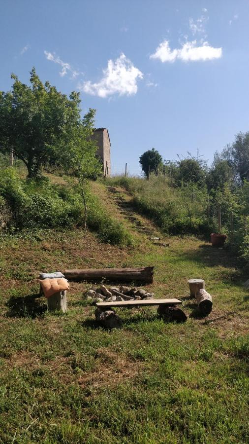 Podere Cerrete - Eco Farmhouse Castel del Piano Kültér fotó