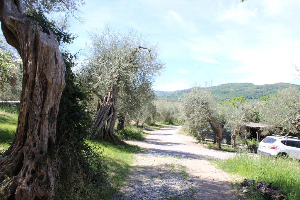 Podere Cerrete - Eco Farmhouse Castel del Piano Kültér fotó